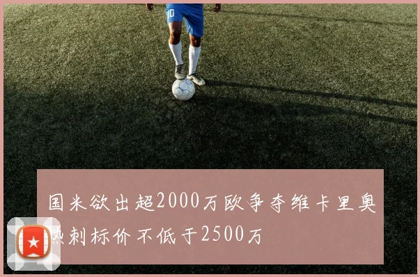 国米欲出超2000万欧争夺维卡里奥热刺标价不低于2500万